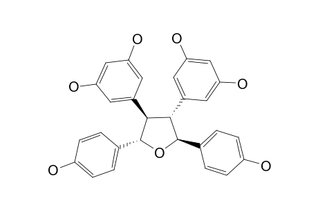TRICUSPIDATOL-A;REL-2R,2'R-(4-HYDROXYPHENYL)-3R,3'R-(3,5-DIHYDROXYPHENYL)-TETRAHYDROFURAN