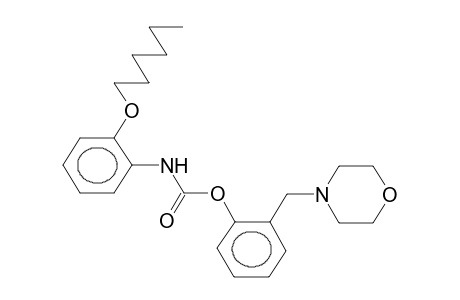 N-2-HEXYLOXYPHENYL-O-(2-MORPHOLINOMETHYLPHENYL)CARBAMATE