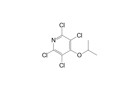 2,3,5,6-Tetrachloro-4-isopropoxypyridine
