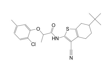 N-(6-tert-butyl-3-cyano-4,5,6,7-tetrahydro-1-benzothien-2-yl)-2-(2-chloro-5-methylphenoxy)propanamide