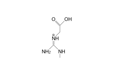 N'-Methyl-glycocyamine cation