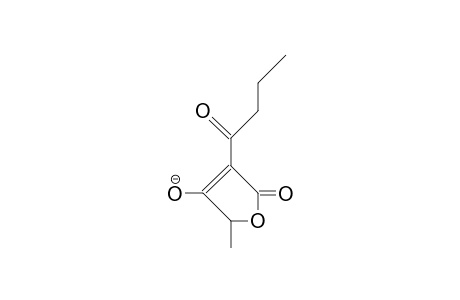 3-Butyryl-5-methyl-tetronic acid, anion