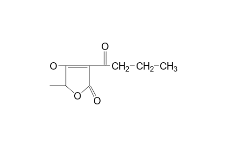 3-BUTYRYL-4-HYDROXY-5-METHYL-2(5H)-FURANONE