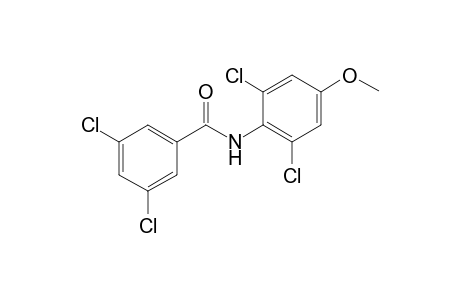 3,5-Dichloro-N-(2,6-dichloro-4-methoxyphenyl)benzamide