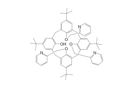 5,11,17,23-Tetra-tert-butyl-25,26,27-tris[(2-pyridylmethyl)oxy]-28-hydroxycalix[4]arene, partial cone comformer