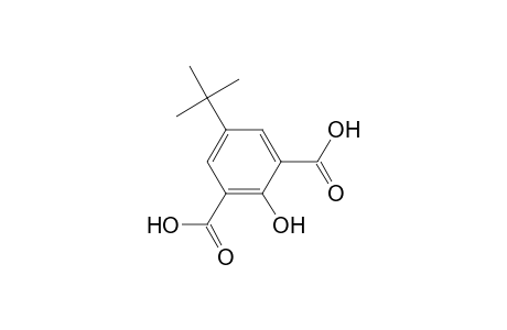 5-tert-Butyl-2-hydroxy-benzene-1,3-dicarboxylic acid