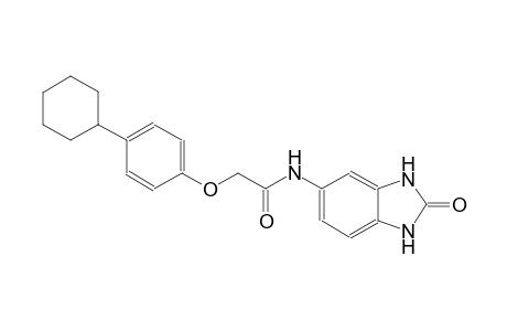 2-(4-cyclohexylphenoxy)-N-(2-oxo-2,3-dihydro-1H-benzimidazol-5-yl)acetamide