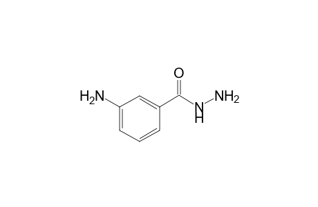 3-Aminobenzohydrazide