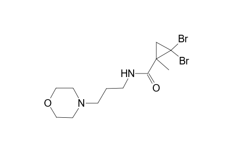 2,2-dibromo-1-methyl-N-[3-(4-morpholinyl)propyl]cyclopropanecarboxamide