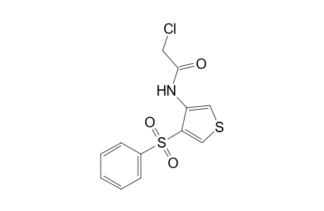 2-chloro-N-[4-(phenylsulfonyl)-3-thienyl]acetamide