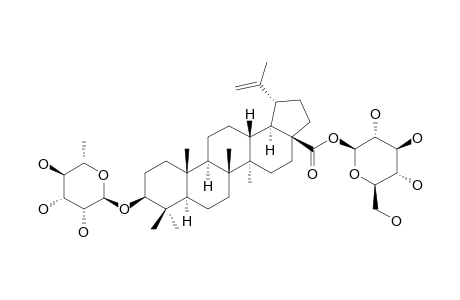 28-O-BETA-D-GLUCOPYRANOSYLBETULINIC_ACID_3-BETA-O-ALPHA-L-RHAMNOPYRANOSIDE