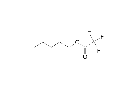 4-Methylpentyl trifluoroacetate