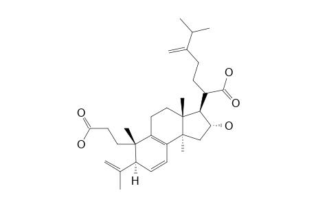 6,7-DEHYDROPORICOIC_ACID_H;(20-ZETA)-16-ALPHA-HYDROXY-3,4-SECO-24-METHYLLANOSTA-4-(28),6,8,24-(24-(1))-TETRAENE-3,21-DIOIC_ACID