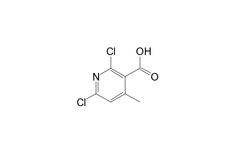 3-Pyridinecarboxylic acid, 2,6-dichloro-4-methyl-