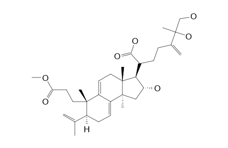 26-HYDROXYPORICOIC_ACID_DM;METHYL-(20-ZETA)-16-ALPHA,25,27-TRIHYDROXY-24-METHYL-3,4-SECO-LANOSTA-4-(28),7,9-(11),24-(24-(1))-TETRAENE-3,21-DIOIC