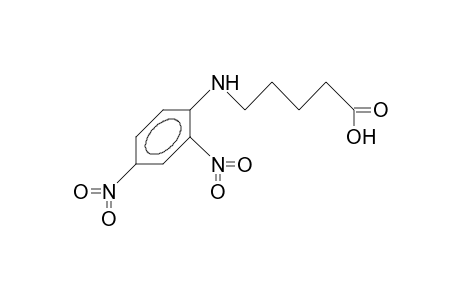 N-(2,4-Dinitro-phenyl)-5-amino-pentanoic acid