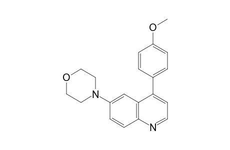 4-(4-Methoxyphenyl)-6-morpholin-4-ylquinoline