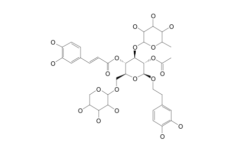 BETA-D-(3',4'-DIHYDROXYPHENYL)-ETHYL-O-ALPHA-L-RHAMNOPYRANOSYL-(1->3)-BETA-D-[BETA-D-XYLOPYRANOSYL-(1->6)]-(4-O-CAFFEOYL)-(2-O-ACETYL)-GLUCOPYRANOSIDE;PHELIPOS