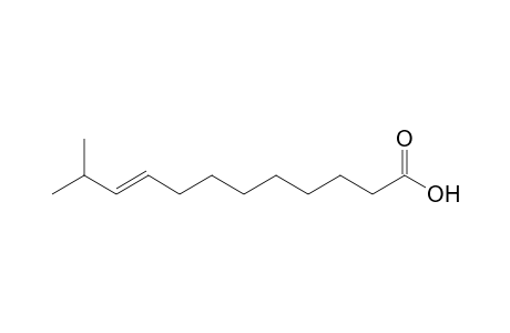 (E)-11-Methyl-9-dodecenoic acid