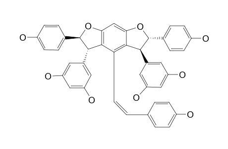 CIS-GNETIN-H