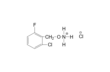 O-(2-CHLORO-6-FLUOROBENZYL)HYDROXYLAMINE, HYDROCHLORIDE