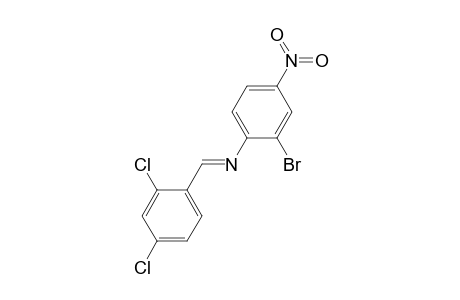 2-Bromo-N-[(E)-(2,4-dichlorophenyl)methylidene]-4-nitroaniline