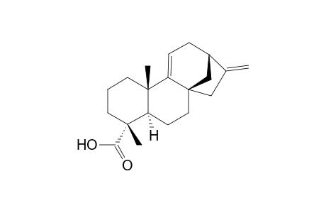 (kaura - 9(11),16 - dien - 19 - oic acid