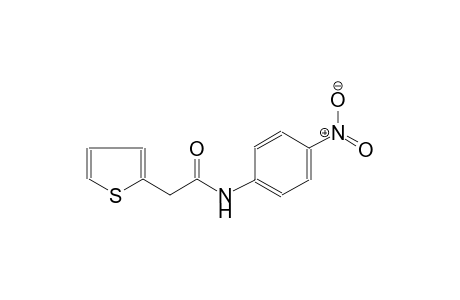 2-thiopheneacetamide, N-(4-nitrophenyl)-
