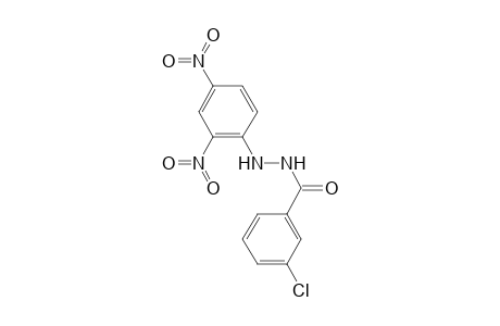 3-Chloranyl-N'-(2,4-dinitrophenyl)benzohydrazide