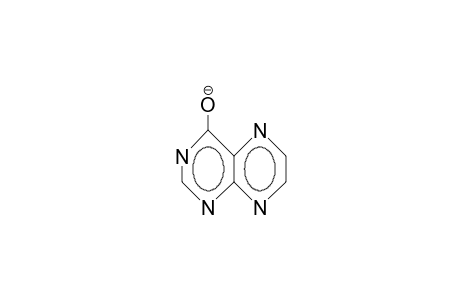 4-Pteridinol anion