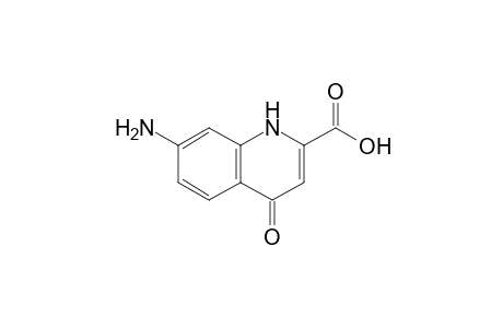 7-amino-4-keto-1H-quinoline-2-carboxylic acid
