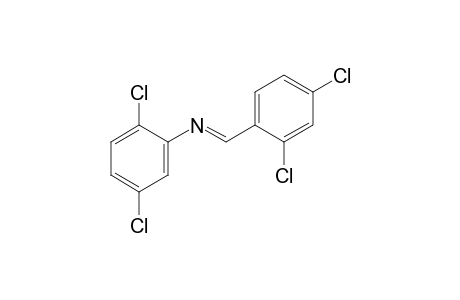 2,5-dichloro-N-(2,4-dichlorobenzylidene)aniline