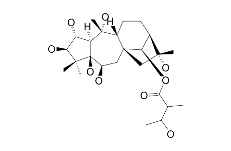 14-BETA-O-(2-S,3-S-NILYL)-2-ALPHA,3-BETA,5-BETA,6-BETA,16-ALPHA-PENTAHYDROXYGRAYANANE