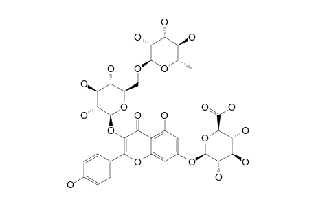 KAEMPFEROL-3-O-BETA-RUTINOSIDE-7-O-BETA-GLUCURONIDE