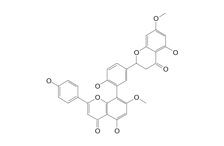 2,3-Dihydro-7,7''-dimethoxyamentoflavone