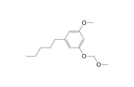 1-Amyl-3-methoxy-5-(methoxymethoxy)benzene