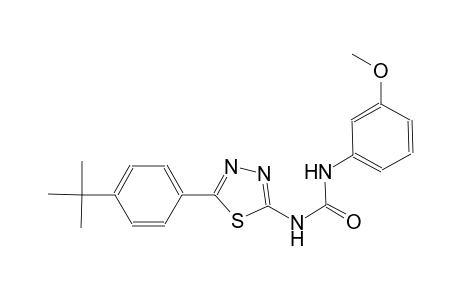 N-[5-(4-tert-butylphenyl)-1,3,4-thiadiazol-2-yl]-N'-(3-methoxyphenyl)urea