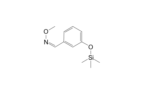 3-Hydroxybenzaldehyde, 1TMS, 1MEOX