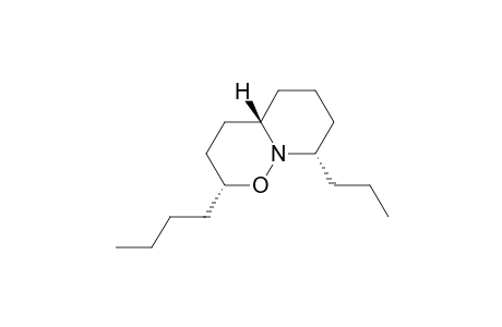 Pyrido[1,2-b][1,2]oxazine, 2-butyloctahydro-8-propyl-, (2.alpha.,4a.beta.,8.alpha.)-(.+-.)-