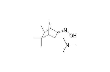 exo-3-(Dimethylamino)methyl-5,5,6-trimethylbicyclo[2.2.1]heptane-2-one E-oxime hydrochloride