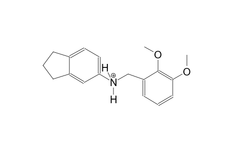 N-(2,3-dimethoxybenzyl)-5-indanaminium
