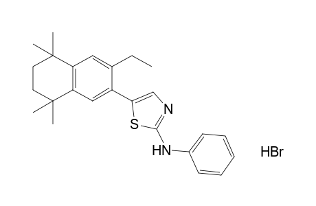 2-anilino-5-(3-ethyl-5,6,7,8-tetrahydro-5,5,8,8-tetramethyl-2-naphthyl)thiazole, monohydrobromide