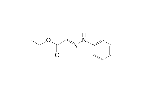 Acetic acid, 2-(2-phenylhydrazinylidene)-, ethyl ester