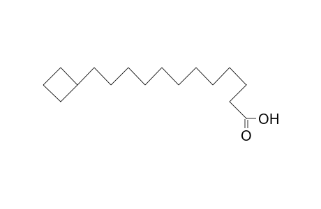 13-Cyclobutyl-tridecanoic acid