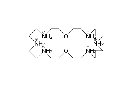 1,4,7,13,17,21-Hexaaza-10,24-dioxa-cyclohexacosane hexacation