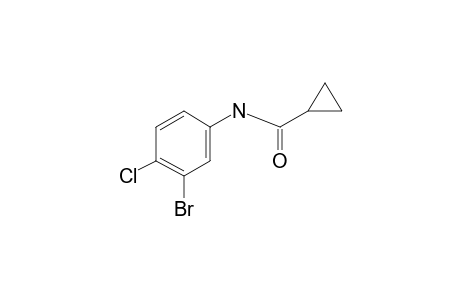 Cyclopropanecarboxamide, N-(3-bromo-4-chlorophenyl)-