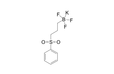 POTASSIUM-3-PHENYLSULFONYLPROPYL-TRIFLUOROBORATE