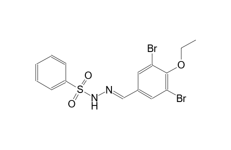 N'-[(E)-(3,5-dibromo-4-ethoxyphenyl)methylidene]benzenesulfonohydrazide