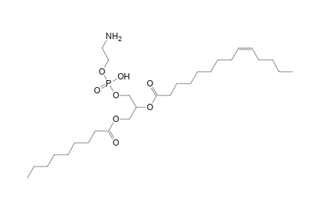 PE 9:0_14:1