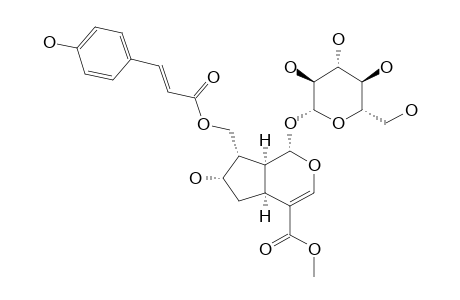 (E)-10-(4-HYDROXYCINNAMOYLOXY)-LOGANIN